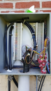 Pic 1.jpg