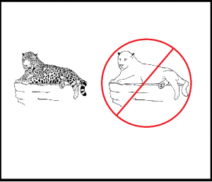 spots.png